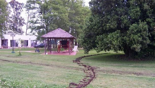 Zanja del cable sensor en el parque de una estancia